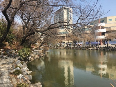 1024_768_1081808