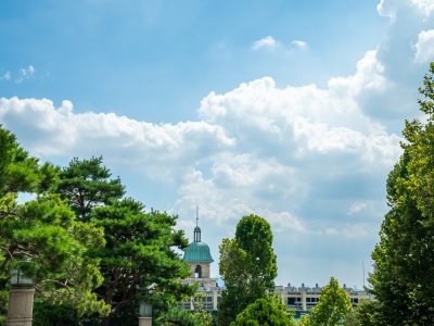 k001_1263460184